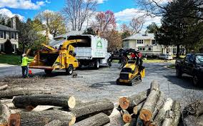 Best Tree Preservation Services  in Summerside, OH