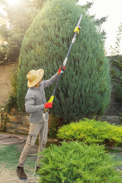 Best Pest Control for Lawns  in Summerside, OH